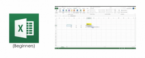 MS Excel Beginners to Intermediate Image