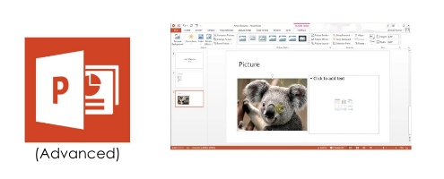 Microsoft Powerpoint Advanced Interface Screenshot